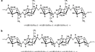 Gambar 1 Struktur kimia Chitosan 