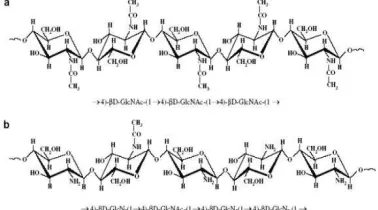 Gambar 1 Struktur kimia Chitosan 