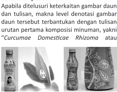Gambar 7. Terdapat berbagai penggayaan dalam menggambarkan daun Curcumae Domesicae Rhizoma atau kunyit (dua di tengah), sedangkan gambar paling kanan adalah ilustrasi yang dipilih oleh Kirani.