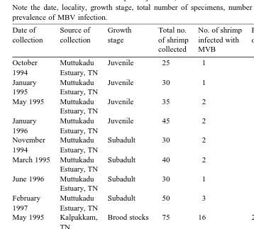 Table 1Prevalence of MBV infection in captured juveniles, sub-adults and brood stocks of