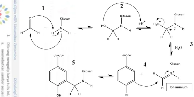 Gambar 4.3 Mekanisme Reaksi Mannich pada Sintesis Lignin-kitosan 