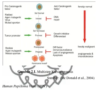 Gambar 2.1. Multistep Karsinogenesis 