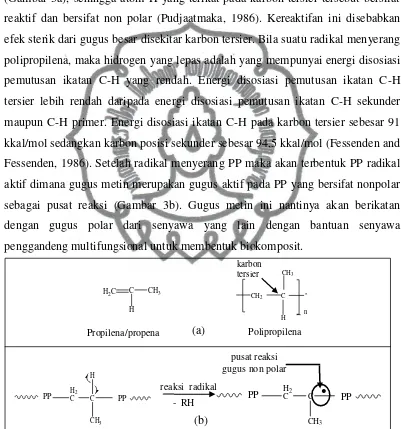 Gambar 3. (a) Struktur propena dan polipropilena, (b) reaksi radikal pada PP.  