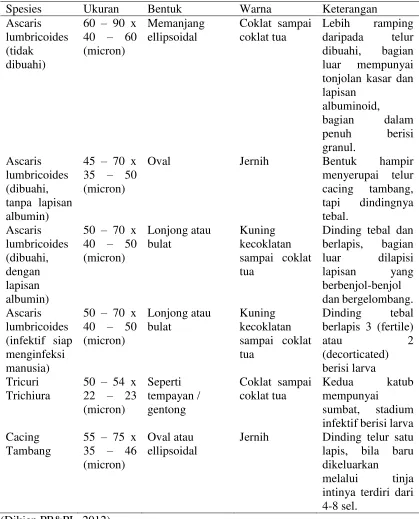 Tabel 2.1 Jenis Telur Cacing yang Ditularkan Melalui Tanah 