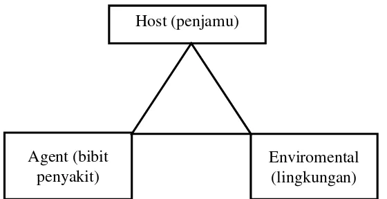 Gambar 2.1 Segitiga Epidemiologi (the epidemiological triangle) 
