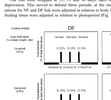 Fig. 1. Meal schedule of fish fed automatically. DF: diurnal automatic-feeding; NF: nocturnal automatic-feed-ing