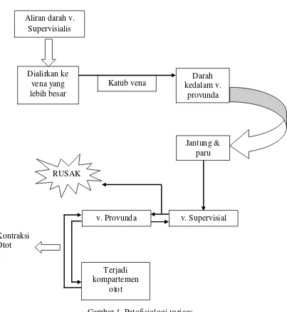 Gambar 1. Patofisiologi varices 
