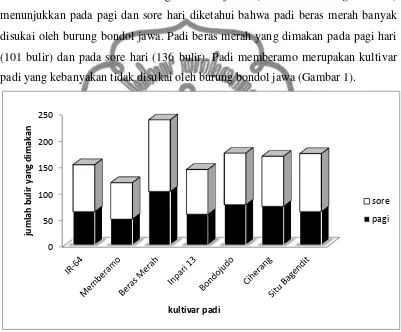Gambar 1. Histogram rata-rata preferensi makan burung bondol jawa pagi hari 