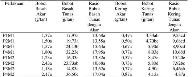 Tabel 6. Pertumbuhan tanaman umur 5 MST  Perlakuan  Bobot  Basah  Akar  (g/tan)  Bobot Basah Tunas  (g/tan)  Rasio  Bobot Basah Tunas  dengan  Akar  Bobot  Kering Akar (g/tan)  Bobot  Kering Tunas (g/tan)  Rasio  Bobot  Kering Tunas  dengan Akar 