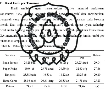 Tabel 6. Rata-rata berat umbi per tanaman (gram) 