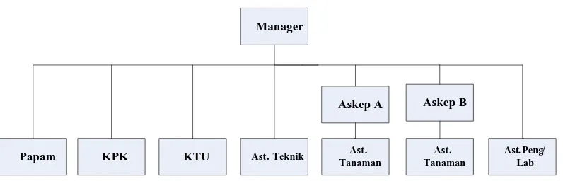 Gambar 2.1.  Struktur Organisasi PTPN III Pabrik Karet Kebun Rambutan 