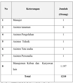Tabel 2.1. Jumlah Tenaga Kerja di PTPN III Pabrik Karet Kebun 
