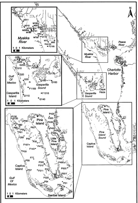 Fig. 3. Location of water quality (salinity and dissolved oxygen, D.O.) sampling stations in Charlotte Harbor, Florida