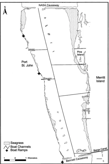 Fig. 5. Location of seagrass beds, boat ramps, and navigation channels in Shellfish Harvesting Area (SHA) C of the Indian River lagoon, Florida.