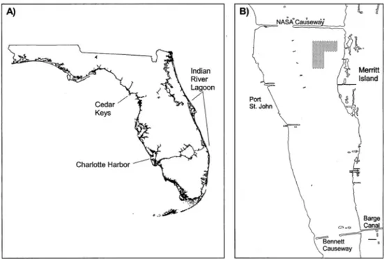 Fig. 1. (A) Map of Florida, showing the location of the Indian River lagoon on the east central coast, the Cedar Keys region, and the Charlotte Harbor estuary