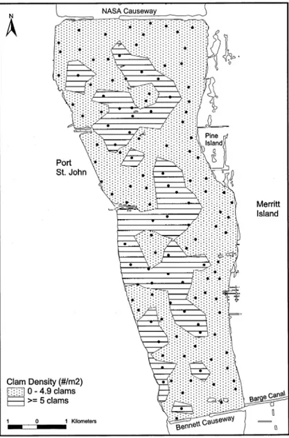 Fig. 2. Distribution of the natural hard clam population in Indian River Shellfish Harvesting Area (SHA) C during 1994