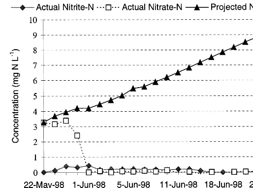 Fig. 11. Actual nitrate-nitrogen and nitrite-nitrogen concentrations (ppm) as a function of timecompared to the projected accumulation of nitrate-nitrogen (ppm) in the absence of the controller.