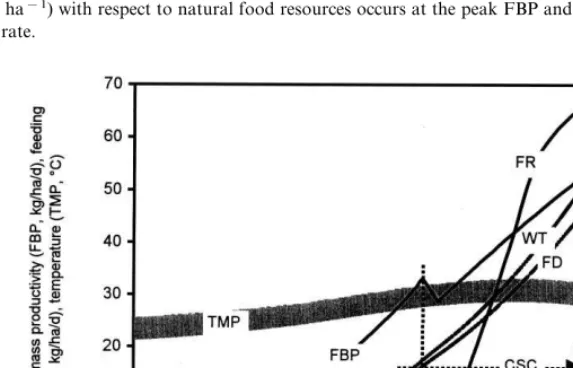 Fig. 5. Simulated data (1-h time step) for tilapia production in fertilized ponds over a 7-month cultureperiod