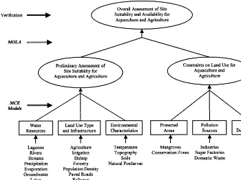 Fig. 4. A hierarchical modeling scheme with MCE and MOLA to evaluate suitability of locations foraquaculture and agriculture and resolve associated conﬂicts, in the Sinaloa state of Mexico (adaptedfrom Aguilar-Manjarrez and Ross, 1995).