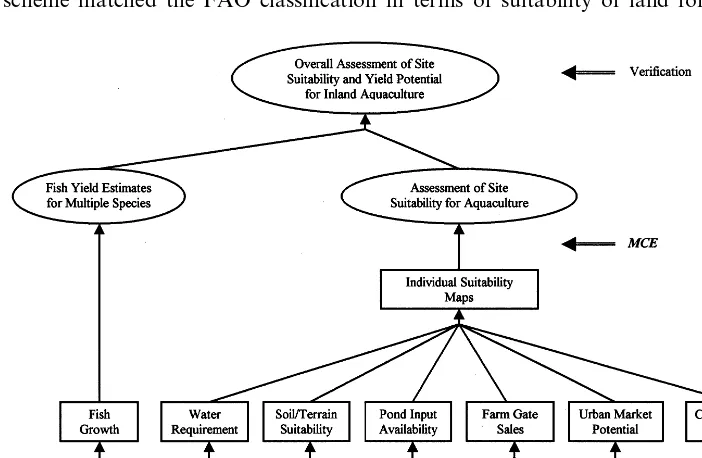 Fig. 6. A hierarchical modeling scheme with a MCE approach to assess the suitability of locations, andassociated yield potentials for inland aquaculture in Africa (adapted from Aguilar-Manjarrez and Nath,1998).