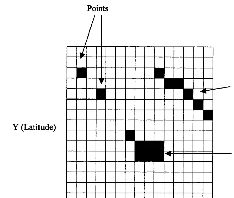 Fig. 2. Representation of spatial features (points, lines and polygons) in a raster GIS (adapted fromThompson, 1998).