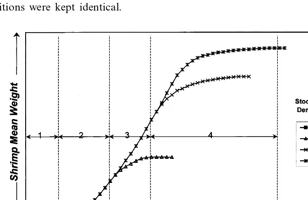 Fig. 1. Table 2 shows experimental shrimp growth data from Sturmer et al. (1991),Table 1 gives a summary of all possible conﬁgurations using idealized data fromSandifer et al