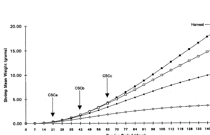 Fig. 2. Shrimp mean weight versus rearing period at various stocking densities.