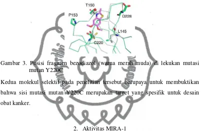 Gambar 3. Posisi fragmen bezodiazol (warna merah muda) di lekukan mutasi 
