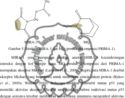 Gambar 5. Struktur MIRA-3 dan MQ (produk dekomposisi PRIMA-1). 