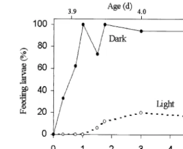Fig. 1. Beginning of external feeding in C. gariepinus larvae reared in light or in dark