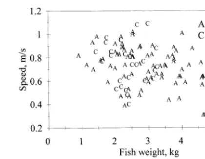 Fig. 6. The average swimming speed of farmed salmon was 0.68 m s−average speed found at a camera position in a cage