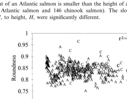 Fig. 4. The height of an Atlantic salmon is smaller than the height of a chinook salmon of comparableweight (n=298 Atlantic salmon and 146 chinook salmon)