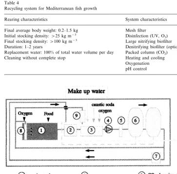 Fig. 5. Recirculating system for growth of ﬁsh at a high stocking density.