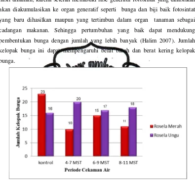 Gambar 5. Histogram Jumlah Kelopak Bunga 