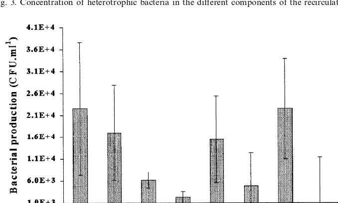 Fig. 3. Concentration of heterotrophic bacteria in the different components of the recirculating system.