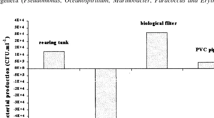 Fig. 5. Bacterial growth in the different components of the rearing system.