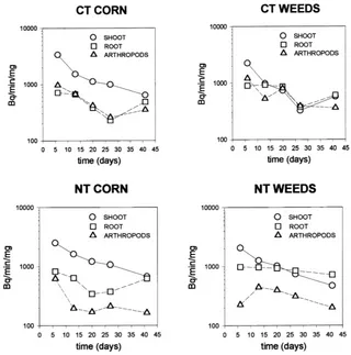 Fig. 3. Concentrations of 14C (Bq/min/mg) in shoots, roots and microarthropods from rhizospheres of corn and weed plants grown underno-tillage and conventional tillage regimes.