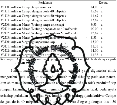 Tabel 3. Rerata jumlah malai padi beras merah beberapa kultivar dan dosis pupuk urine sapi 