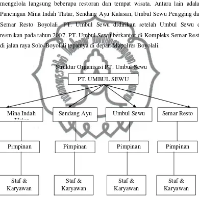 Gambar 4. Struktur Organisasi PT. Umbul Sewu 