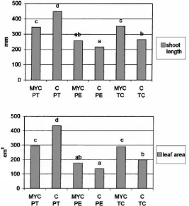 Fig. 1. Shoot length (above) and total leaf area (below) of micropropagated apple plants, inoculated with the AM fungus Glomus mosseae(MYC) or non-inoculated (C) in three different substrates (PT, PE and TC) during the weaning stage