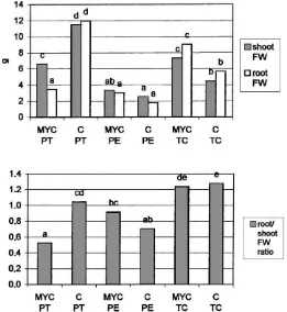 Fig. 2. Shoot and root fresh weight (above) and root/shoot fresh weight ratio (below) of micropropagated apple plants, inoculated with theAM fungus Glomus mosseae (MYC) or non-inoculated (C) in three different substrates (PT, PE and TC) during the weaning 