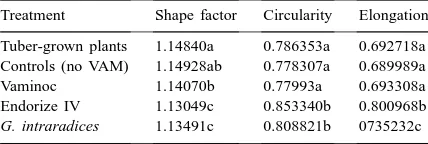 Table 1The mean values for the image analysis parameters