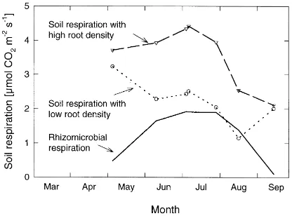 Fig. 5. Modelled annual courses of total soil respiration for thealder forest, the beech forest and the crop ﬁeld in 1992 and 1993.