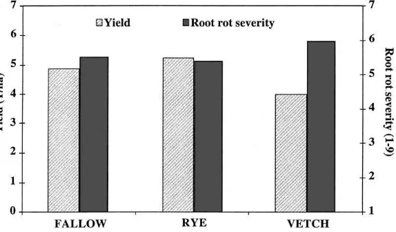Fig. 1. The effects of various incorporated cover crops on root rotseverity of snap bean (were rated on a scale of 1 (no root rot observed) to 9 (>80% of theroots infected)