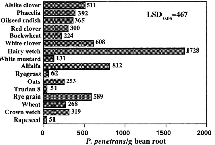Fig. 4. The inﬂuence of various cover crops incorporated into thesoil on the population of P