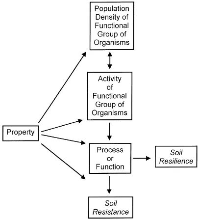 Fig. 3. Possible relationships between measurable soil properties,soil processes or functions, and soil resistance and resilience