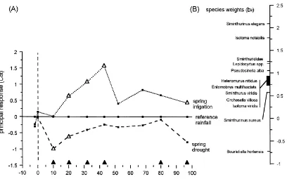 Fig. 6. (A) Principal Response Curves (PRC) diagram showing the response over time of a collembolan community to manipulated springrainfall treatments