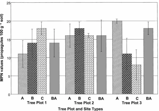Fig. 2. Most probable number values obtained from a mesquite nurse-tree study site in the Sonoran Desert