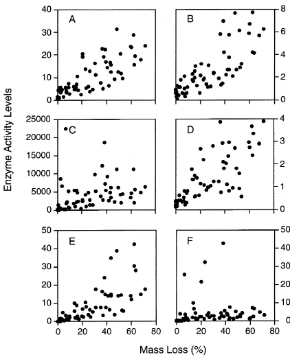 Fig. 5. Activity levels of enzymes (units vary) associated withbirch wood decay in northern New York, USA (Sinsabaugh et al.,1992)