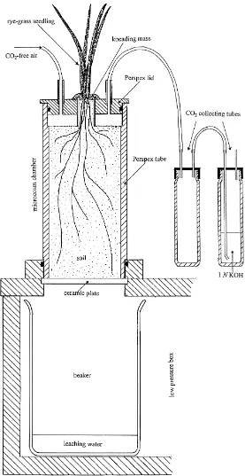 Fig. 1. Diagram of the top section of the microcosms.